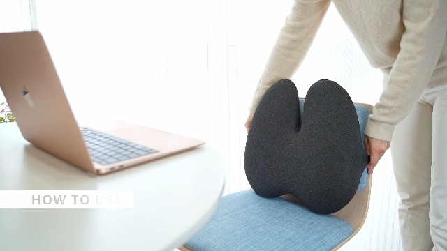 Amazon.co.jp: 【所ジョージの世田谷ベース掲載】 車 クッション